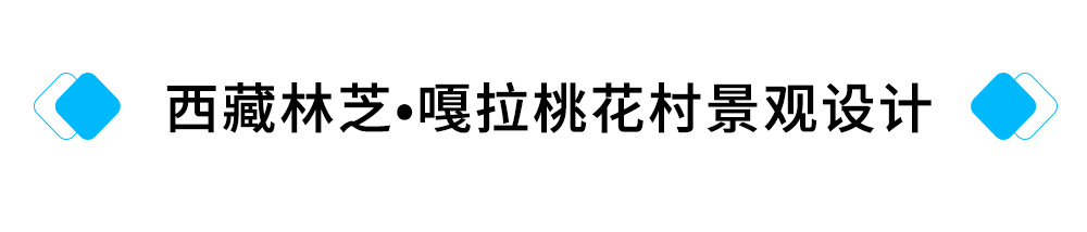 24、西藏林芝?嘎拉桃花村景观设计.jpg