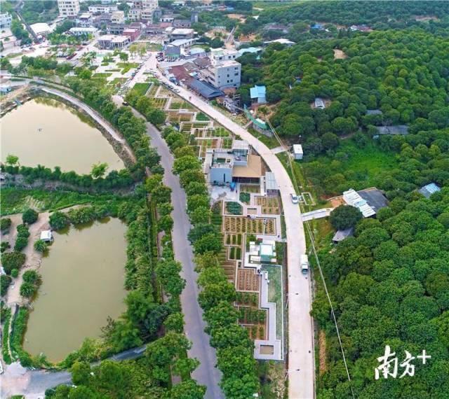 利博官网股份